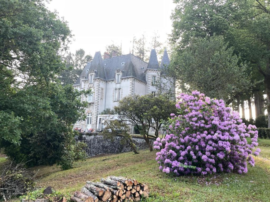 Bed and Breakfast Chateau Maleplane Сен-Леонар-де-Нобла Екстер'єр фото