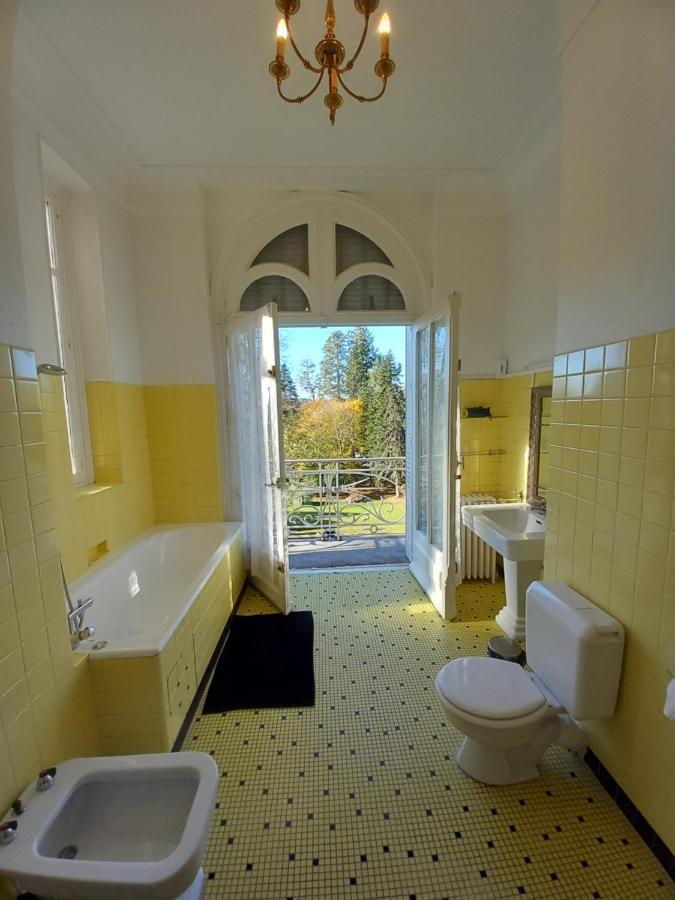 Bed and Breakfast Chateau Maleplane Сен-Леонар-де-Нобла Екстер'єр фото